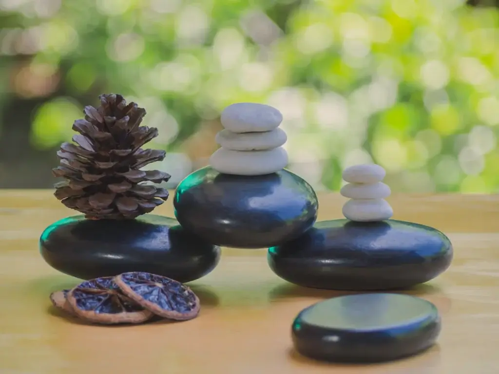 Smart Wellness Routine with Health Tech
